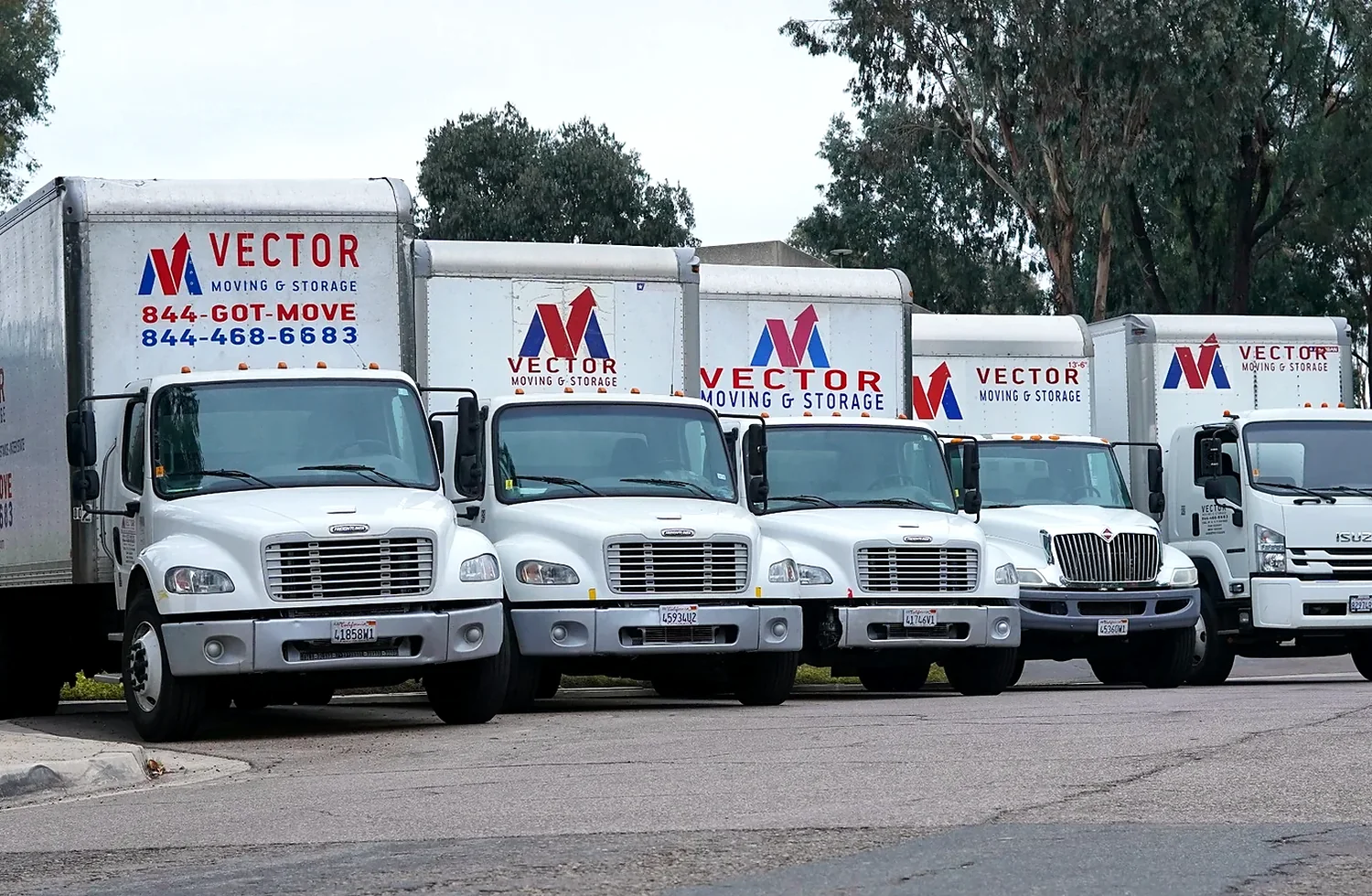 Fleet of branded Vector Moving and Storage trucks