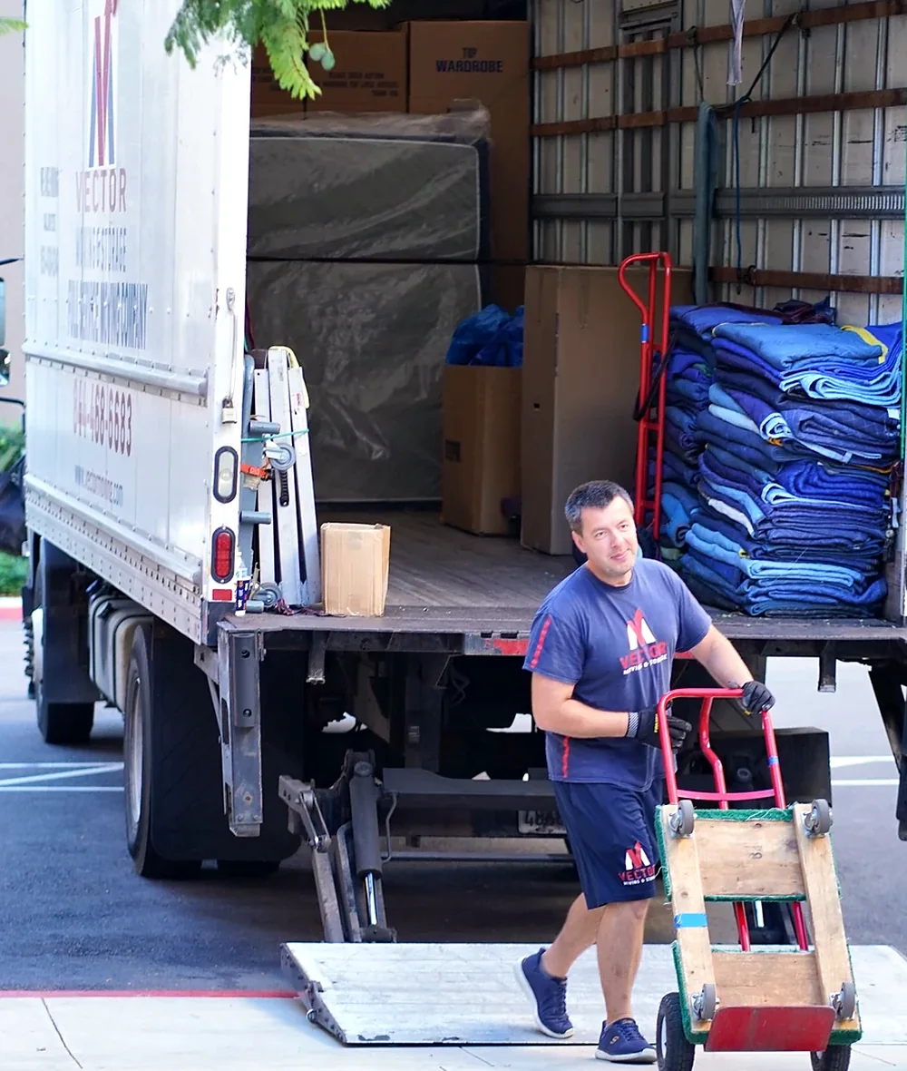 Vector mover with moving blankets, boxes, a dolly and prepared truck