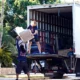 Vector movers loading protected furniture into a branded moving truck
