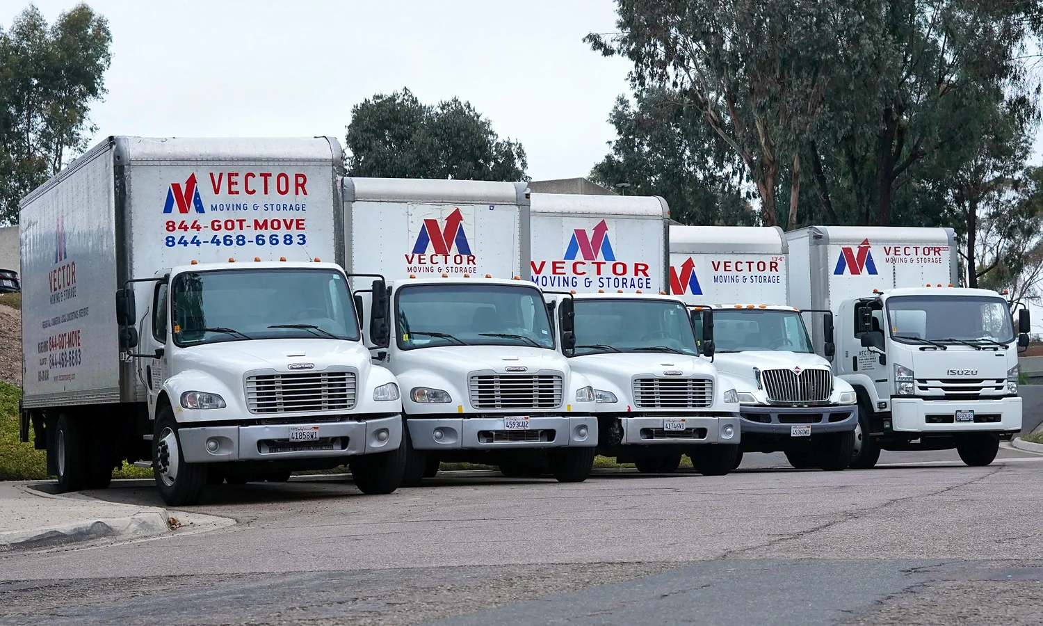 Fleet of branded Vector Moving and Storage trucks