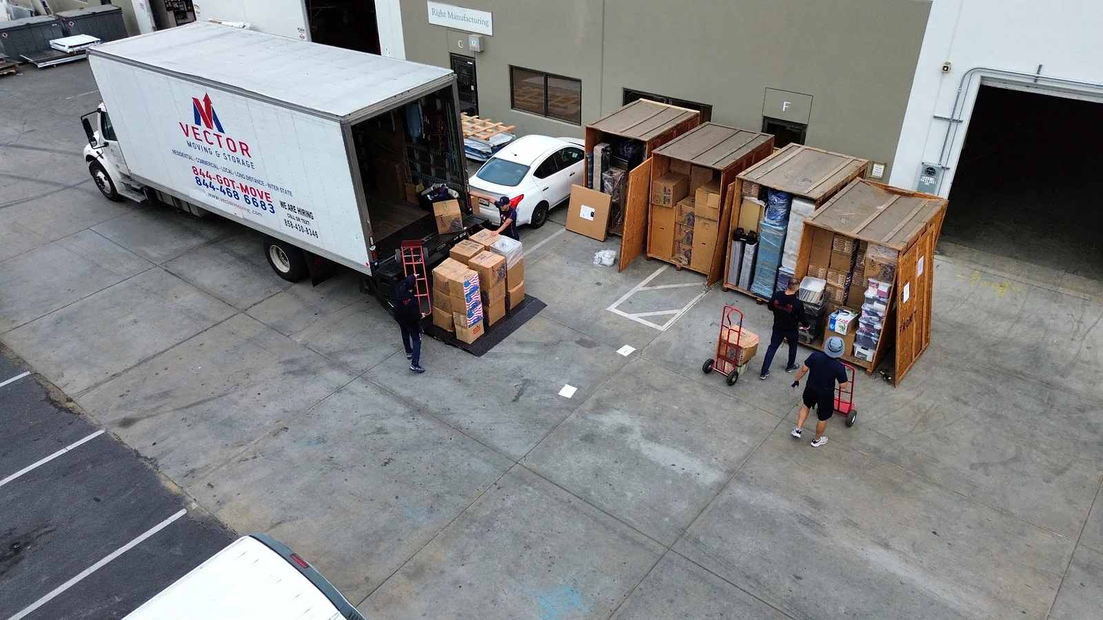 Vector commercial moving crew organizing boxed business inventory