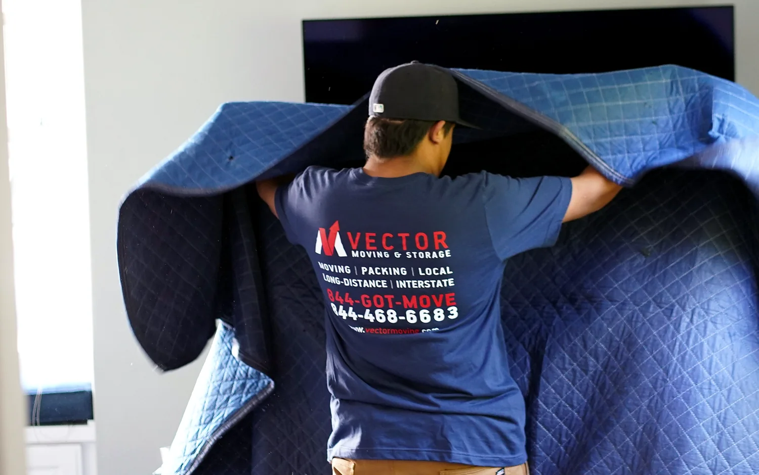 Vector mover covering household furniture with a quilted moving blanket