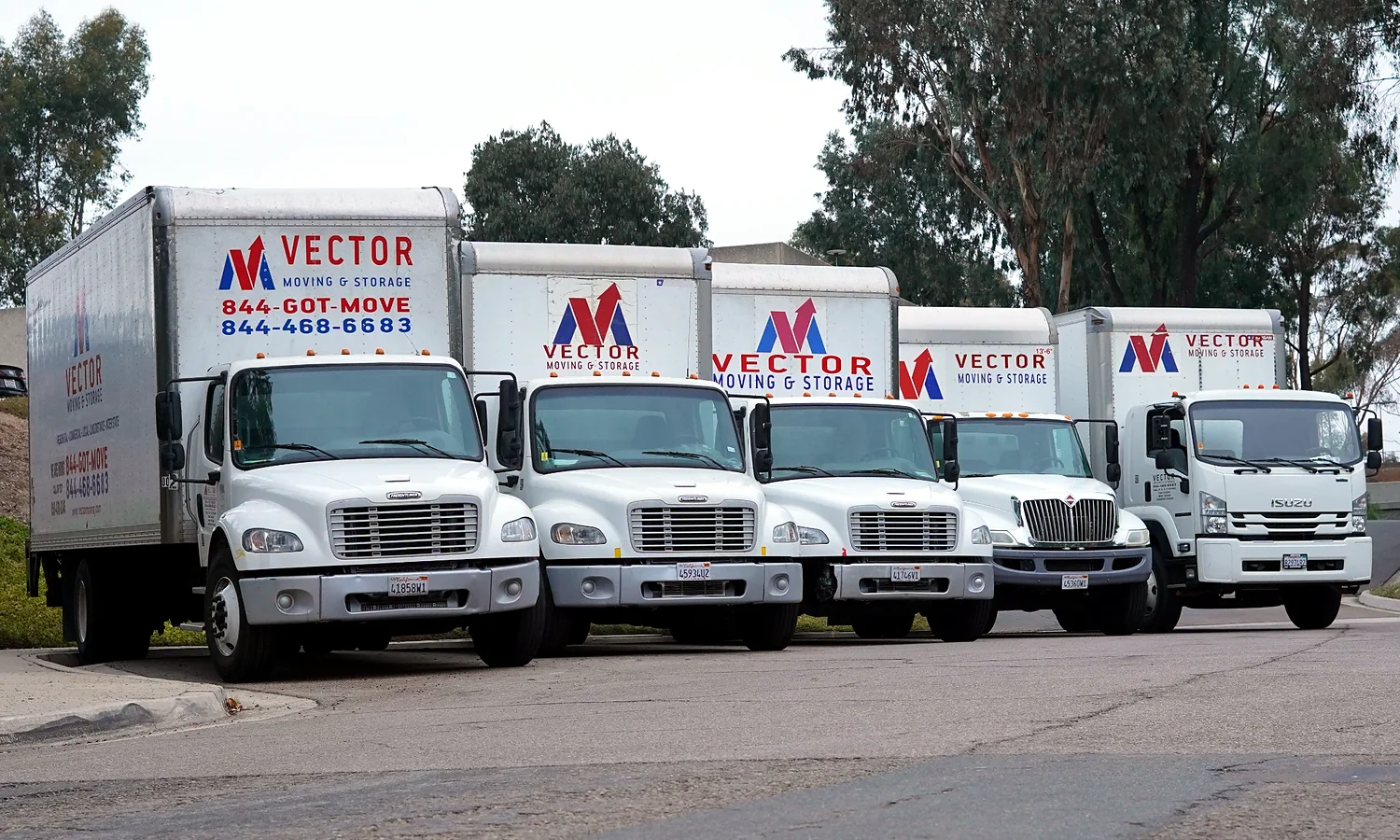 Fleet of branded Vector Moving and Storage trucks