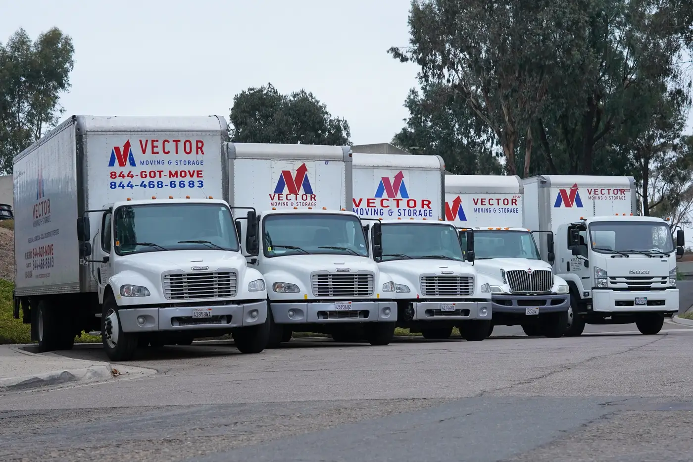 Fleet of branded Vector Moving and Storage trucks