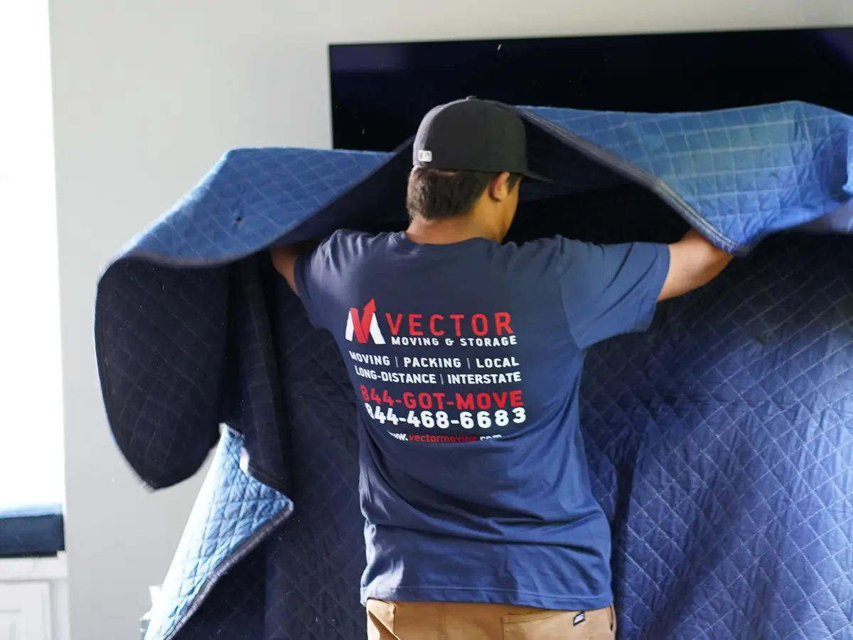 Vector mover covering household furniture with a quilted moving blanket