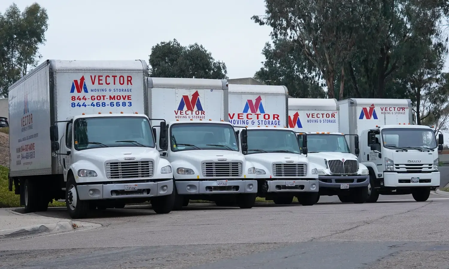 Fleet of Vector Moving and Storage trucks used for local and interstate relocations