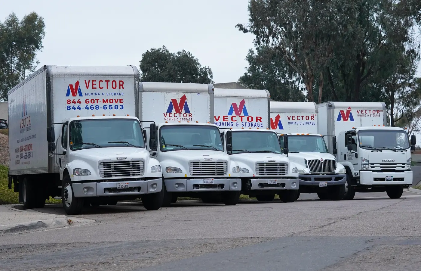 Fleet of branded Vector Moving and Storage trucks